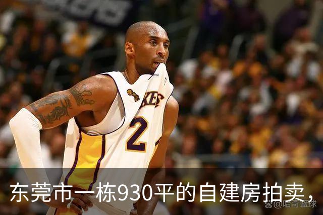 东莞市一栋930平的自建房拍卖，被人214.23万元就竞得