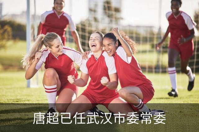 唐超已任武汉市委常委