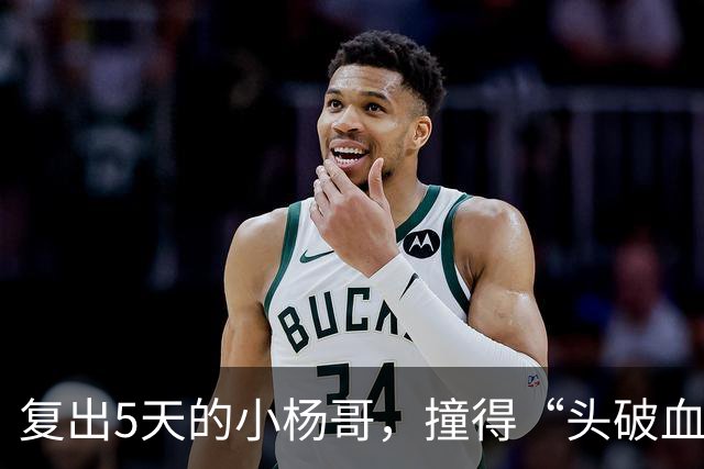 复出5天的小杨哥，撞得“头破血流”