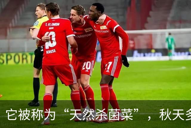 它被称为“天然杀菌菜”，秋天多吃，一预防感冒 ，二健脾开胃促消化