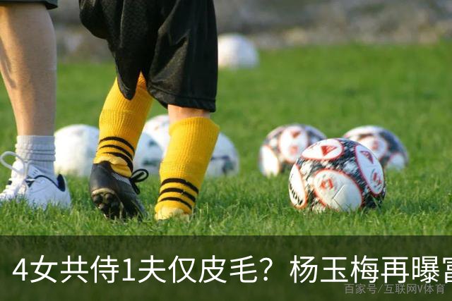 4女共侍1夫仅皮毛？杨玉梅再曝富豪圈猛料，远比你想的更炸裂