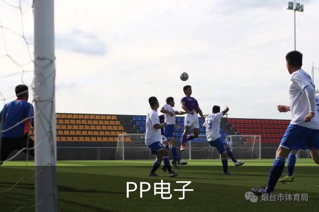 PP电子公司简介图片